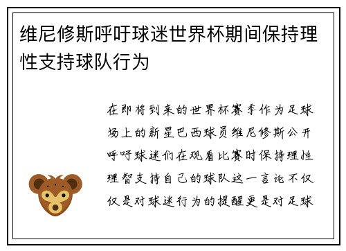 维尼修斯呼吁球迷世界杯期间保持理性支持球队行为